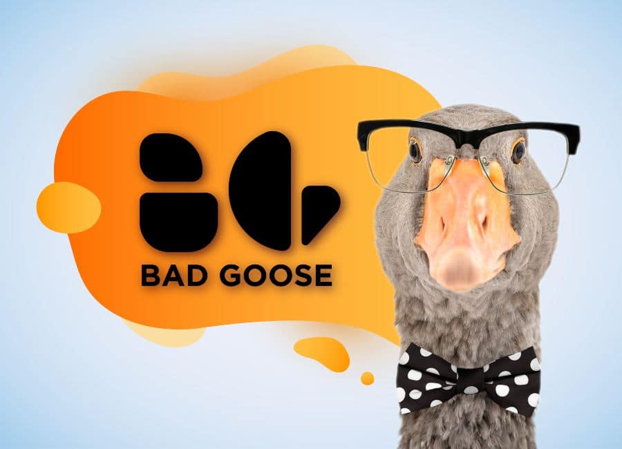 BadGoose
Agency
