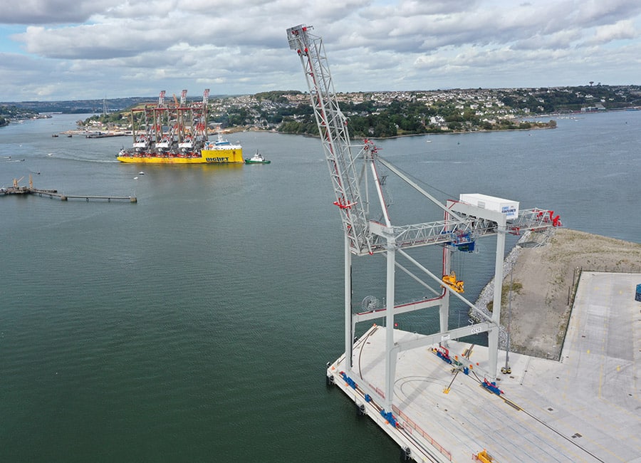 Cranes Cork