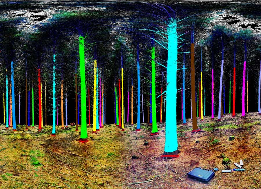 Treemetrics European Space Agency