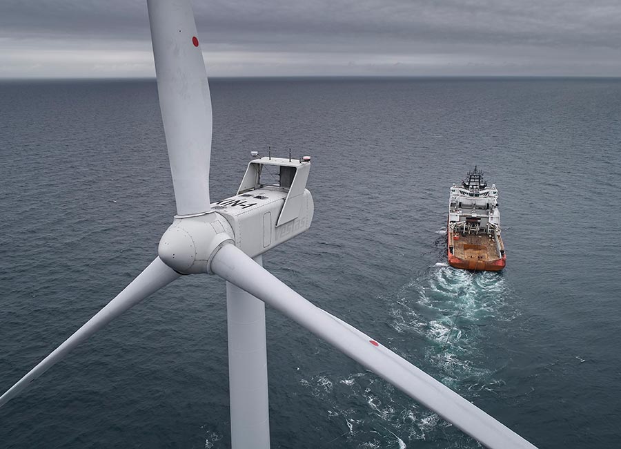 EDF
Simply Blue Octopus