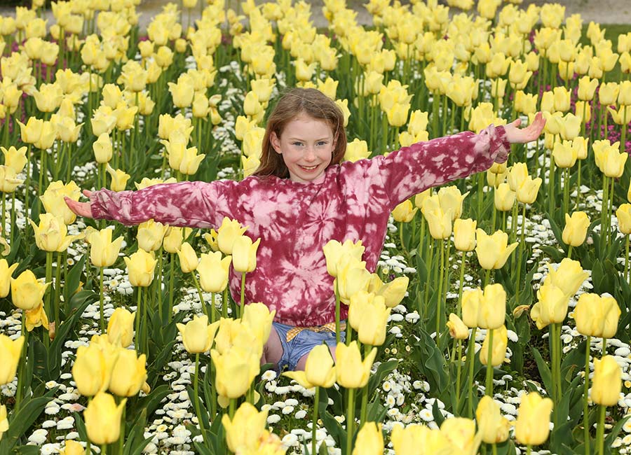 Powerscourt
Sustainable