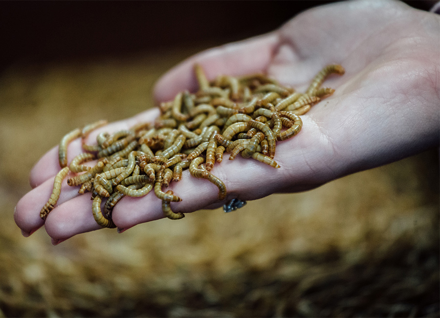 Pic: Cyril Marcilhacy/Bloomberg via Getty Images