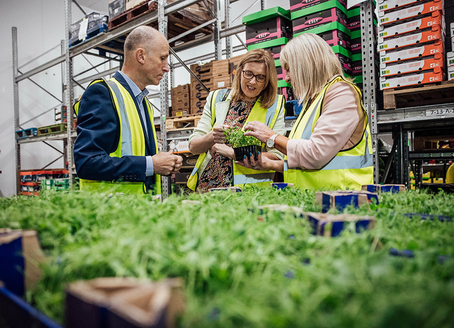 Richardsons
food safety accreditation