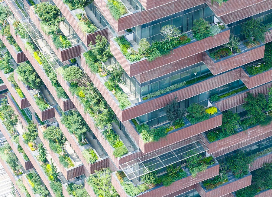 Net Zero
Start-ups