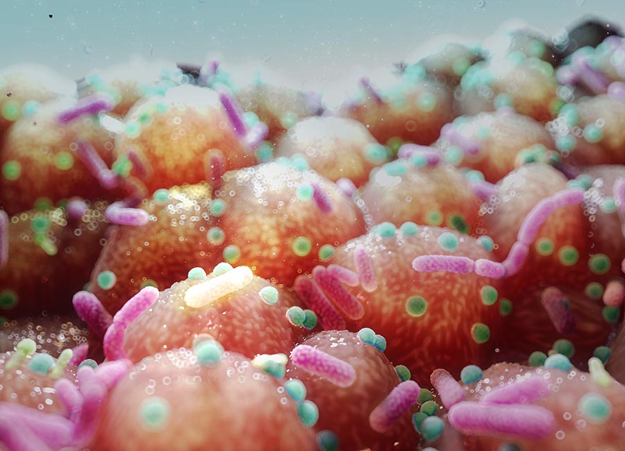 Nestle
APC Microbiome