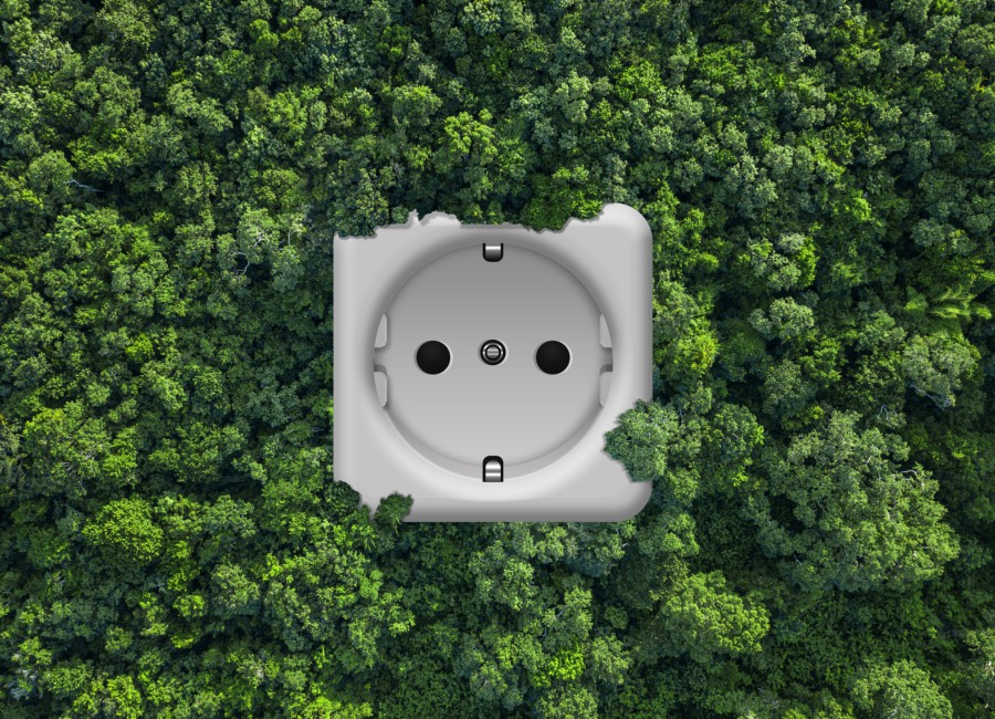 Sustainability Leaders Programme