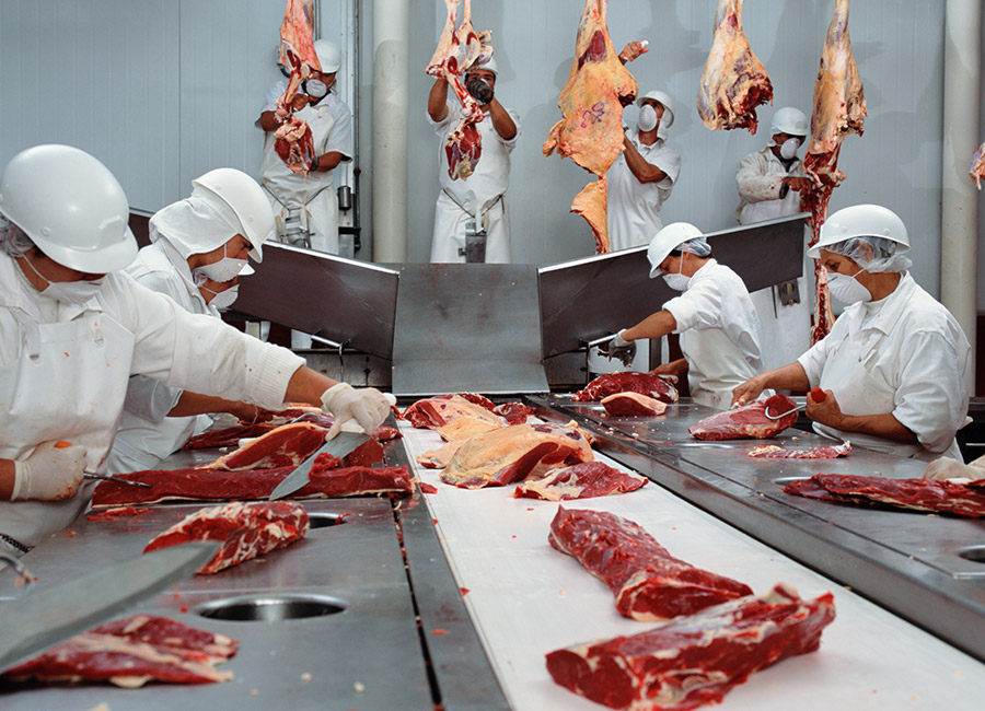 Agri-Food Regulator
Beef
