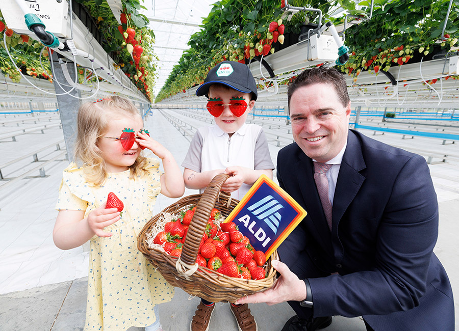 Aldi 
Sunglow Nurseries